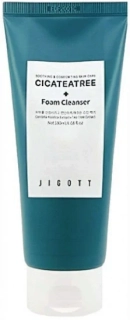 JIGOTT Cicateatree Foam Cleanser - zklidňující čistící pleťová pěna, 180ml