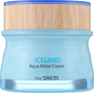 THE SAEM Iceland Aqua Moist Cream - hydratační pleťový krém, 60ml